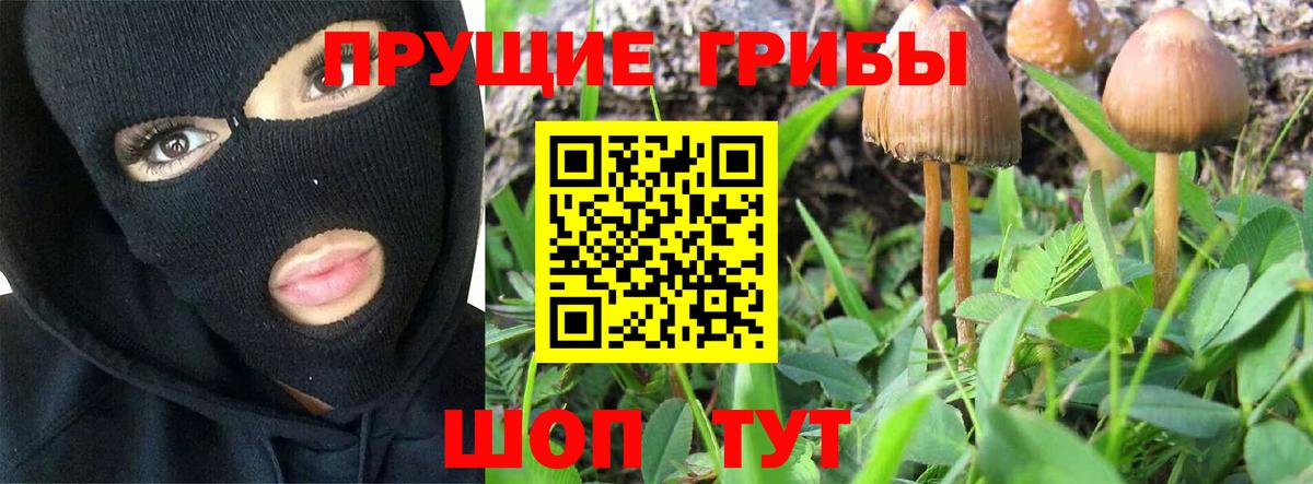 Псилоцибиновые грибы GOLDEN TEACHER  Вход с VPN  Зеленодольск 